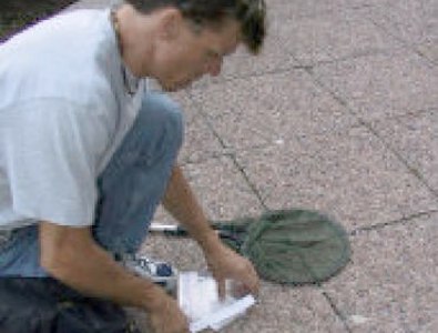 Homeopathy used to treat birds in Toronto