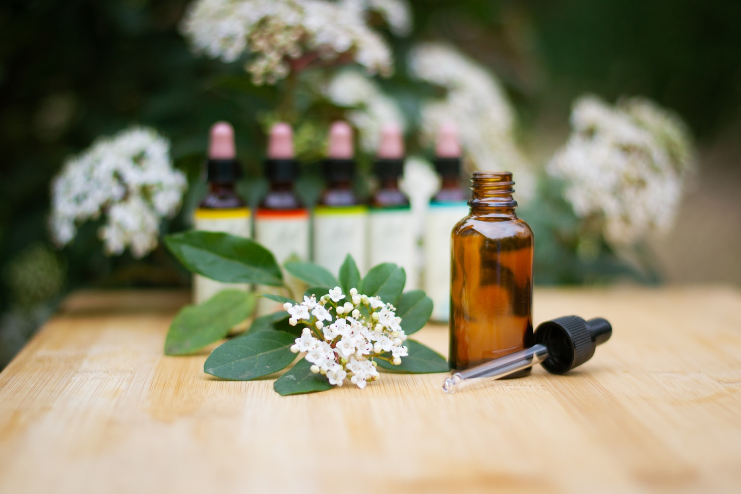 The Role of Homeopathy in Modern-Day Health
